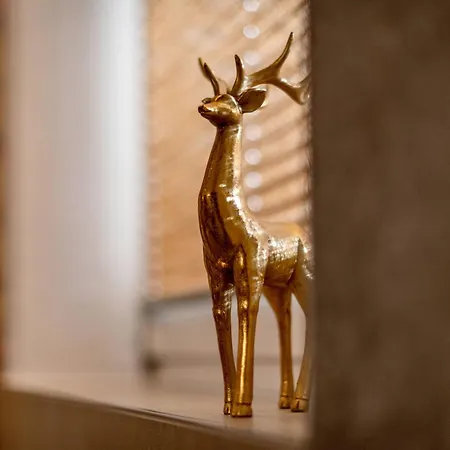 Appartement Fankhauser