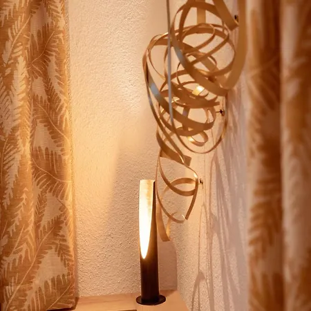 Fankhauser Apartment Mayrhofen