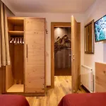 Fankhauser Daire Mayrhofen