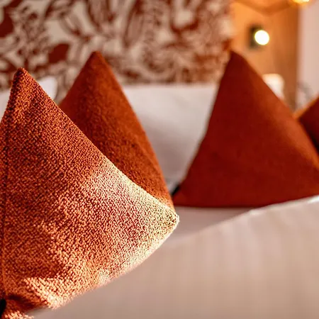 菲丽沃纳范克豪瑟酒店 公寓 *