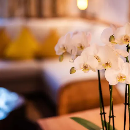 菲丽沃纳范克豪瑟酒店