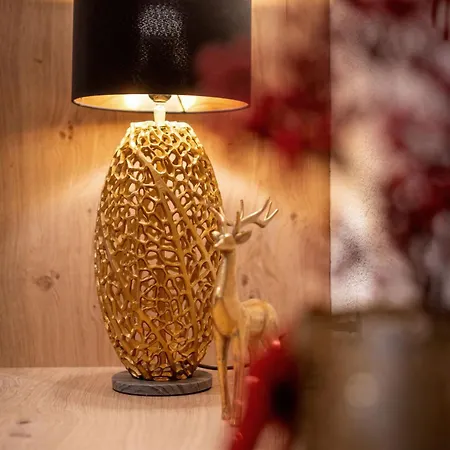 公寓 菲丽沃纳范克豪瑟酒店 *